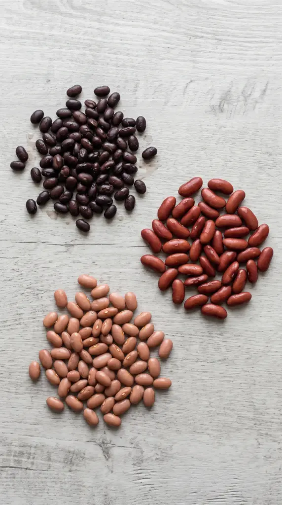 Assortment of cooked black beans, kidney beans, and pinto beans